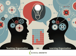 Teaching v Learning Org